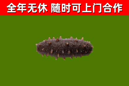 怀安县烟酒回收干海参.jpg